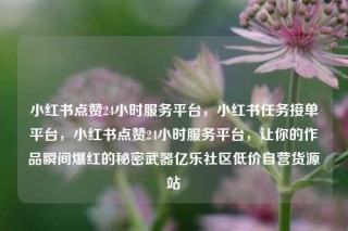 小红书点赞24小时服务平台，小红书任务接单平台，小红书点赞24小时服务平台，让你的作品瞬间爆红的秘密武器亿乐社区低价自营货源站