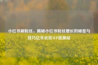 小红书刷粉丝，揭秘小红书粉丝增长的秘密与技巧亿乐社区SUP货源站
