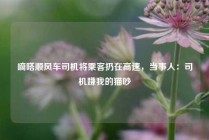 嘀嗒顺风车司机将乘客扔在高速，当事人：司机嫌我的猫吵