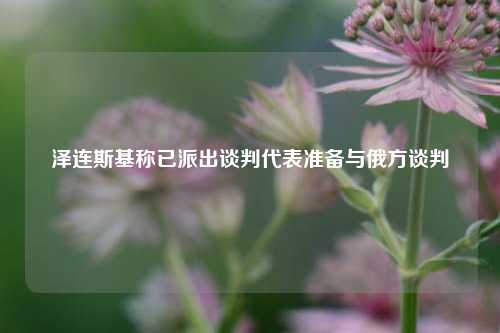 泽连斯基称已派出谈判代表准备与俄方谈判  第1张