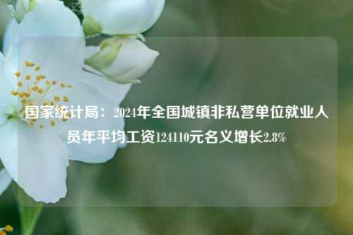 国家统计局：2024年全国城镇非私营单位就业人员年平均工资124110元名义增长2.8%  第1张