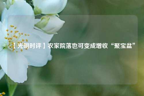 【光明时评】农家院落也可变成增收“聚宝盆”  第1张