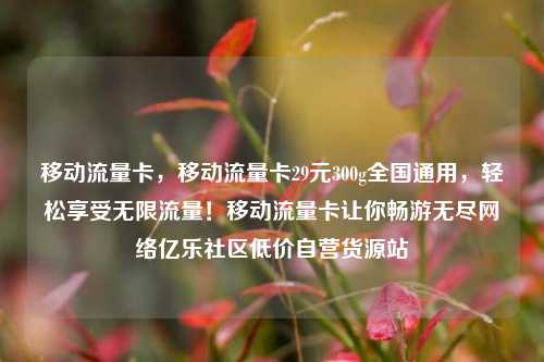 移动流量卡，移动流量卡29元300g全国通用	，轻松享受无限流量！移动流量卡让你畅游无尽网络亿乐社区低价自营货源站  第1张