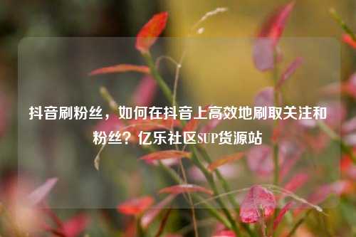 抖音刷粉丝，如何在抖音上高效地刷取关注和粉丝？亿乐社区SUP货源站  第1张