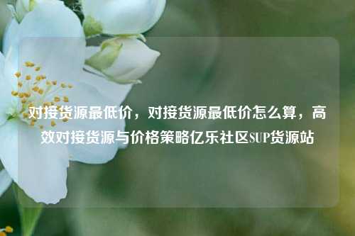 对接货源最低价，对接货源最低价怎么算，高效对接货源与价格策略亿乐社区SUP货源站  第1张