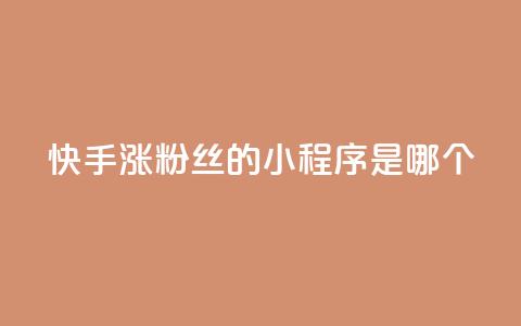 快手涨粉丝的小程序是哪个,全网辅助最低货源网 - 拼多多自助下单24小时平台 9个元宝还需要多少人助力  第1张 快手涨粉丝的小程序是哪个,全网辅助最低货源网 - 拼多多自助下单24小时平台 9个元宝还需要多少人助力  第1张