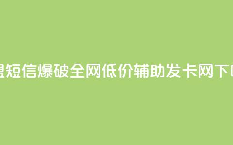 卡盟短信爆破 - 全网低价辅助发卡网  第1张