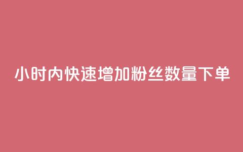 24小时内快速增加粉丝数量下单  第1张 24小时内快速增加粉丝数量下单  第1张