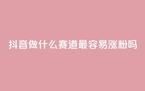 抖音做什么赛道最容易涨粉吗,全网账号批发 - 抖音怎么查自己点过的赞 b站播放量自助平台  第1张 抖音做什么赛道最容易涨粉吗,全网账号批发 - 抖音怎么查自己点过的赞 b站播放量自助平台  第1张