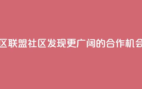 卡盟社区(联盟社区:发现更广阔的合作机会)  第1张 卡盟社区(联盟社区:发现更广阔的合作机会)  第1张