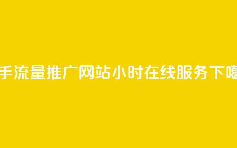 快手流量推广网站24小时在线服务  第1张 快手流量推广网站24小时在线服务  第1张