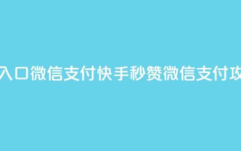 快手秒赞入口微信支付(快手秒赞微信支付攻略)  第1张 快手秒赞入口微信支付(快手秒赞微信支付攻略)  第1张
