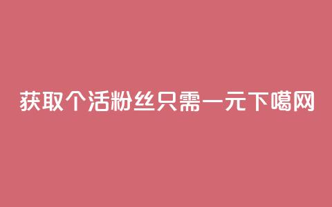 获取1000个活粉丝只需一元  第1张 获取1000个活粉丝只需一元  第1张