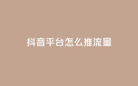 抖音平台怎么推流量 - 抖音平台如何有效提升流量获取技巧~  第1张 抖音平台怎么推流量 - 抖音平台如何有效提升流量获取技巧~  第1张