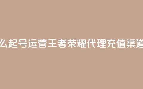 抖音怎么起号运营 - 王者荣耀代理充值渠道  第1张 抖音怎么起号运营 - 王者荣耀代理充值渠道  第1张