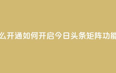 今日头条矩阵怎么开通 - 如何开启今日头条矩阵功能详细指南!  第1张 今日头条矩阵怎么开通 - 如何开启今日头条矩阵功能详细指南!  第1张