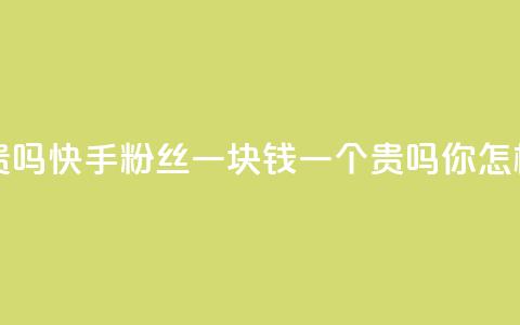 快手粉丝一块钱一个贵吗 - 快手粉丝一块钱一个贵吗你怎样看待这个价格?!  第1张 快手粉丝一块钱一个贵吗 - 快手粉丝一块钱一个贵吗你怎样看待这个价格?!  第1张