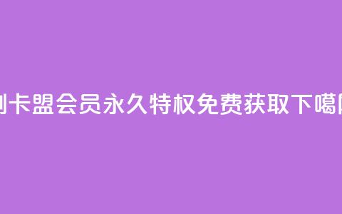 刷卡盟QQ会员永久特权 - 免费获取  第1张 刷卡盟QQ会员永久特权 - 免费获取  第1张
