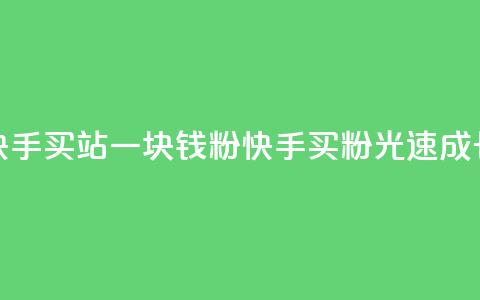 快手买站一块钱1000粉(快手买粉光速成长) 第1张 快手买站一块钱1000粉(快手买粉光速成长) 第1张