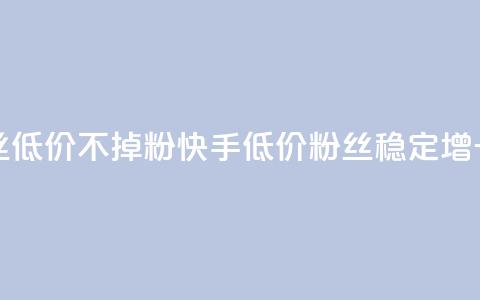 快手粉丝低价不掉粉(快手低价粉丝稳定增长)  第1张 快手粉丝低价不掉粉(快手低价粉丝稳定增长)  第1张