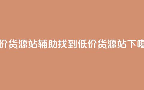 低价货源站辅助(找到低价货源站)  第1张 低价货源站辅助(找到低价货源站)  第1张