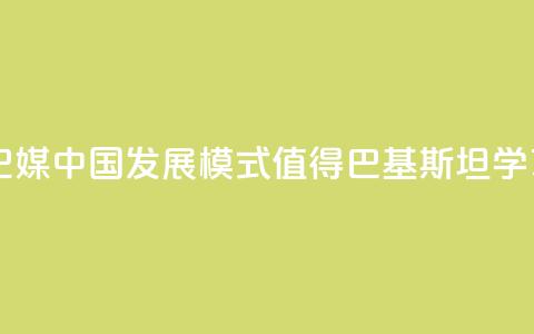巴媒:中国发展模式值得巴基斯坦学习  第1张 巴媒:中国发展模式值得巴基斯坦学习  第1张