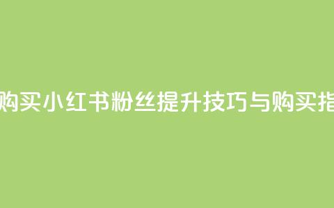 小红书500粉购买 - 小红书500粉丝提升技巧与购买指南!  第1张 小红书500粉购买 - 小红书500粉丝提升技巧与购买指南!  第1张