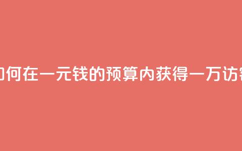 如何在一元钱的预算内获得一万访客?  第1张 如何在一元钱的预算内获得一万访客?  第1张