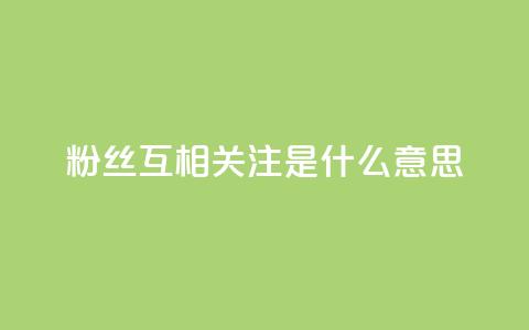 粉丝互相关注是什么意思 - 粉丝互相关注的含义是什么~  第1张 粉丝互相关注是什么意思 - 粉丝互相关注的含义是什么~  第1张