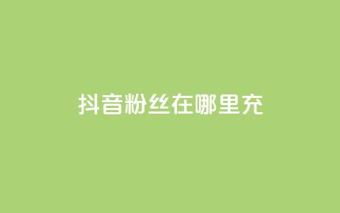 抖音粉丝在哪里充 - 哪里可以快速增加抖音粉丝数!  第1张 抖音粉丝在哪里充 - 哪里可以快速增加抖音粉丝数!  第1张