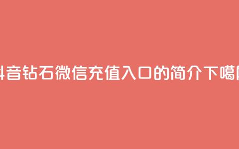 抖音钻石微信充值入口的简介  第1张 抖音钻石微信充值入口的简介  第1张