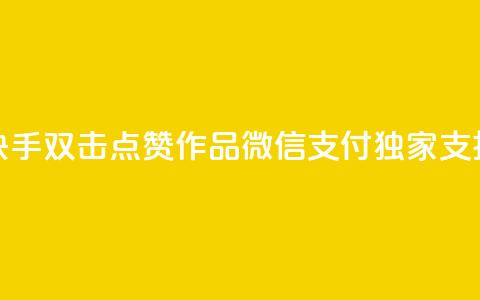 快手双击点赞作品，微信支付独家支持  第1张