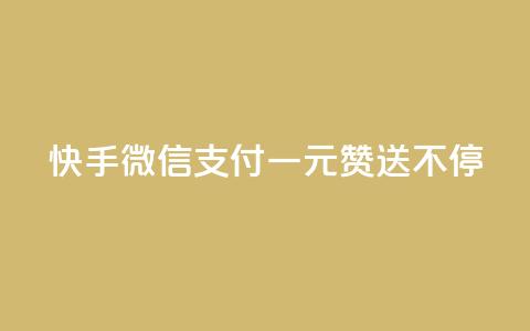 快手微信支付:一元赞送不停  第1张 快手微信支付:一元赞送不停  第1张