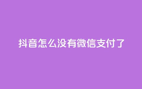抖音怎么没有微信支付了 - 抖音为何取消微信支付功能的原因分析!  第1张 抖音怎么没有微信支付了 - 抖音为何取消微信支付功能的原因分析!  第1张