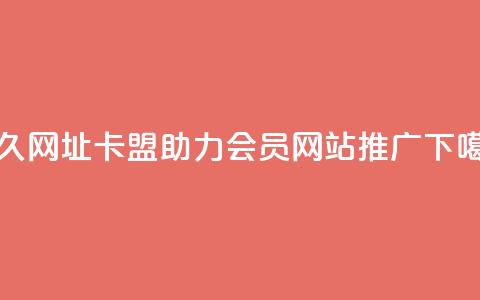 永久网址卡盟助力QQ会员网站推广 第1张 永久网址卡盟助力QQ会员网站推广 第1张