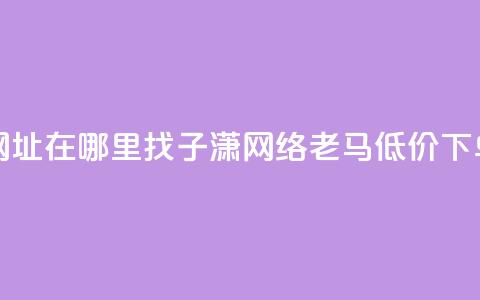 快手点网址在哪里找 - 子潇网络老马低价下单 第1张 快手点网址在哪里找 - 子潇网络老马低价下单 第1张