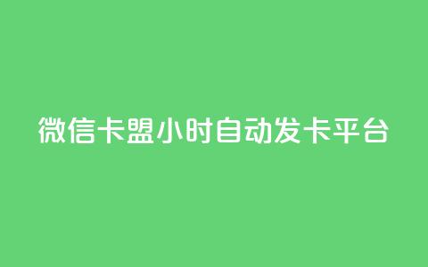 微信卡盟24小时自动发卡平台 - 24小时自动发卡，助力微信卡盟!  第1张