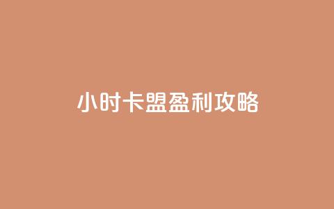 24小时卡盟盈利攻略  第1张
