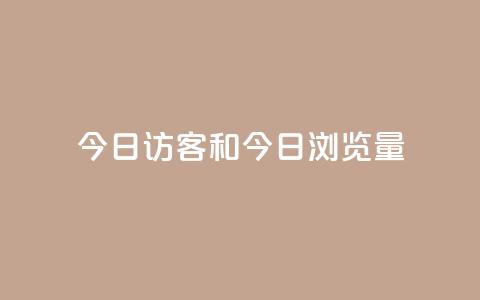 今日访客和今日浏览量 - 今日访问人数与页面浏览统计分析~  第1张 今日访客和今日浏览量 - 今日访问人数与页面浏览统计分析~  第1张