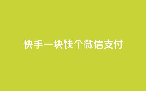 快手一块钱100个微信支付,刷粉黑科技涨粉工具 - 24小时自助下单云商城 云小店24小时自助下单  第1张