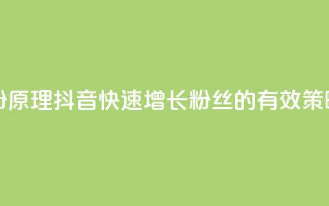 抖音快速吸粉原理 - 抖音快速增长粉丝的有效策略揭秘!  第1张 抖音快速吸粉原理 - 抖音快速增长粉丝的有效策略揭秘!  第1张