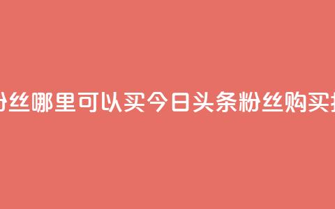 今日头条粉丝哪里可以买 - 今日头条粉丝购买指南!  第1张 今日头条粉丝哪里可以买 - 今日头条粉丝购买指南!  第1张