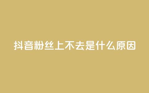 抖音粉丝上不去是什么原因,qq访客量一万购买 - ks直播平台正规吗 176自助云商城  第1张 抖音粉丝上不去是什么原因,qq访客量一万购买 - ks直播平台正规吗 176自助云商城  第1张