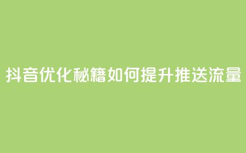 抖音优化秘籍:如何提升推送流量  第1张 抖音优化秘籍:如何提升推送流量  第1张