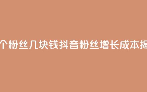 抖音涨一个粉丝几块钱 - 抖音粉丝增长成本揭秘!  第1张 抖音涨一个粉丝几块钱 - 抖音粉丝增长成本揭秘!  第1张