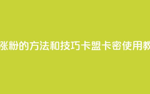 抖音快速涨粉的方法和技巧 - 卡盟卡密使用教程  第1张 抖音快速涨粉的方法和技巧 - 卡盟卡密使用教程  第1张