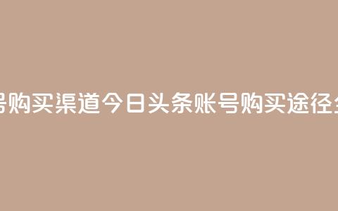 今日头条账号购买渠道 - 今日头条账号购买途径全解析!  第1张 今日头条账号购买渠道 - 今日头条账号购买途径全解析!  第1张