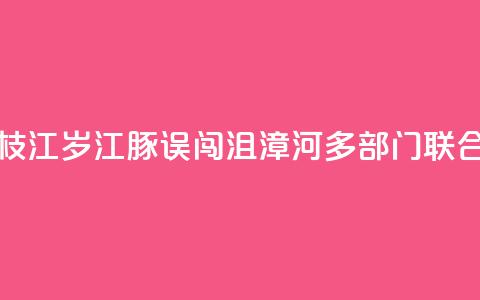 湖北枝江:2岁江豚误闯沮漳河 多部门联合救援  第1张 湖北枝江:2岁江豚误闯沮漳河 多部门联合救援  第1张