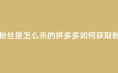 拼多多上粉丝是怎么来的(拼多多如何获取粉丝)  第1张 拼多多上粉丝是怎么来的(拼多多如何获取粉丝)  第1张