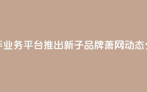 快手业务平台推出新子品牌萧网动态分析  第1张 快手业务平台推出新子品牌萧网动态分析  第1张